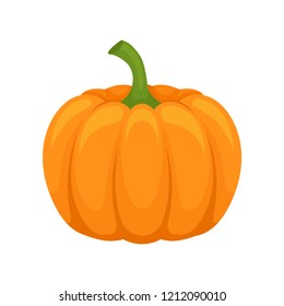 Fresh ripe whole pumpkin vector Illustration on a white background