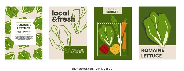 Fresh romaine lettuce illustration. Simple posters with cabbage vegetable for farmers market. Vector templates with copyspace. Set of harvested salad vegetables in minimal hand drawn and flat style. 
