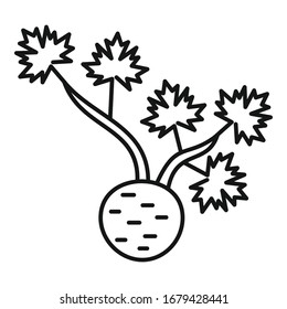 Icono de apio de raíz fresca. Contorno icono de vectores de vallado de raíz fresco para diseño web aislado en fondo blanco