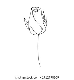 Fresh rosebud, vector illustration, hand drawing sketch