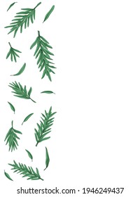 Fresh rosemary branches. Color image. Close-up. There is room for text. Element for design. Vector illustration.