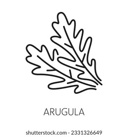 Icono de esquema aislado de rucola o hoja de arugula fresca. Planta vectorial de cohetes, ingrediente de ensalada, condimento vegetariano orgánico, línea delgada