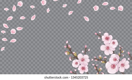 Fresh sakura flower frame horizontal. Handmade background in oriental style. The idea of textile design, wallpaper, packaging, printing. Magenta on transparent background.