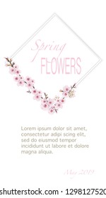 Fresh sakura flower frame vertical. Handmade background in Chinese style. Theme design cover, invitation, booklet, printing. Magenta on white background.