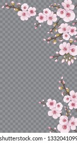 Fresh sakura flower frame vertical. Handmade background in Chinese style. Rose on transparent fond. Design element for fabric, invitations, packaging, cards, story.
