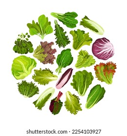 Fresh Salad Leaves Round Composition with Green Vegetables Vector Template