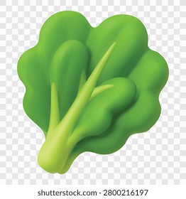 Fresh Salad Vector Icon Set | 3D icon set | lettuce leaves