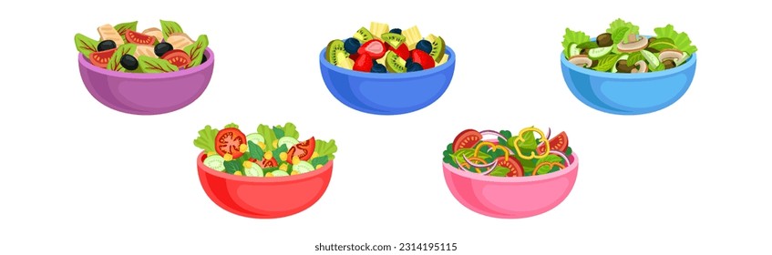 Fresh Salads in Bowl with Mixed Ingredients Vector Set