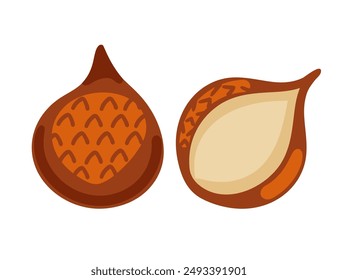 Salak fresco (fruta de serpiente), entero y partido por la mitad, que muestra su piel escamosa de color marrón rojizo y carne blanca cremosa. Ideal para disfrutar de frutas exóticas. Ilustración vectorial aislada sobre fondo blanco.