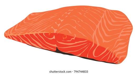 fresh salmon meat on a white background. Vector illustration of pieces Vector eps 8