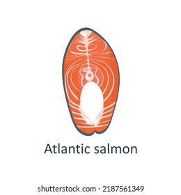 
Fresh Salmon Steak. Vector illustration of a piece of redfish for a print or package or article.