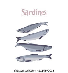Fresh sardines. Delicious sea fish. Healthy nutrition product. Vector hand drawn flat isolated illustration with dry brush texture and lettering for your design on black background.
