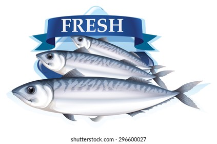 Fresh sardines with text illustration