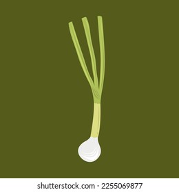 Fresh scallion flat vector illustration. Cute fresh green scallion onion cartoon vector illustration for graphic design and decorative element