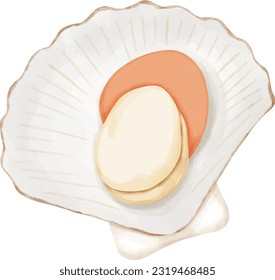 Fresh scallop shell. Seafood.The menu design element of a fish restaurant, market or store.