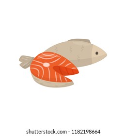 Fresh sea fish, fresh healthy seafood vector Illustration on a white background