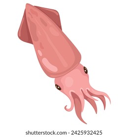 Calamares de pescado fresco, mariscos frescos. Ilustración de vector
