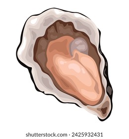 Fresh sea oyster, fresh seafood. Vector illustration