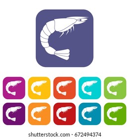 Fresh sea shrimp icons set vector illustration in flat style In colors red, blue, green and other