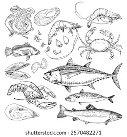 Fresh Seafood, hand drawn illustration