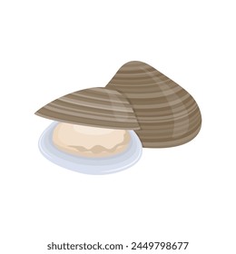 Fresh seafood ingredient clams cartoon vector isolated illustration