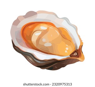 Fresh seafood oyster, cooked with organic ingredients isolated