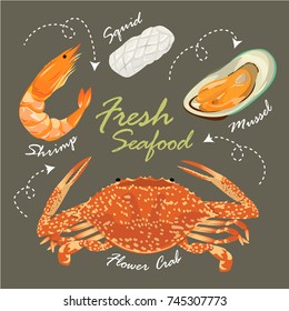 Fresh seafood ready to eat.Flower crab , shrimp , mussel and squid. Illustration vector set.