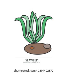 fresh seaweed vector type icon