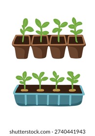 fresh seedlings in propagation trays artwork design