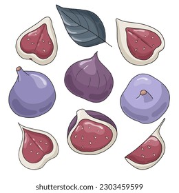 Fresh set with pieces of figs. Vector illustration