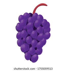 Fresh shop grapes icon. Cartoon of fresh shop grapes vector icon for web design isolated on white background