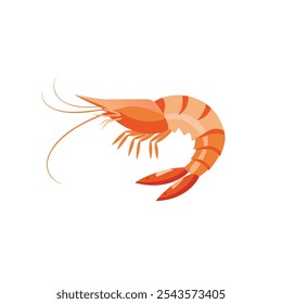

Camarón fresco aislado Ilustración vectorial plana sobre fondo blanco