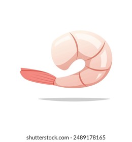 Fresh shrimp vector isolated on white background.