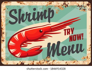 Fresh shrimps restaurant menu rusty metal plate. Sea pram catch, seafood dish vector. Seafood cafe meal with shrimp, pram meat retro banner, vintage signboard with rust texture frame