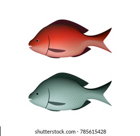 Fresh Silver and red fish in 3D vector design