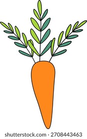Fresh Single Orange Carrot Vegetable Isolated
