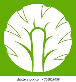 Fresh slice of broccoli icon white isolated on green background. Vector illustration