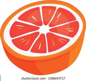 Fresh slice citrus on white background - vector