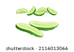 Fresh sliced cucumber. Pieces and half of green vegetable vector illustration