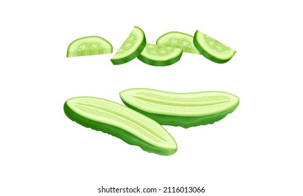 Fresh sliced cucumber. Pieces and half of green vegetable vector illustration