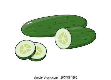 Fresh sliced green cucumber isolated on white background. Ripe seasonal hand drawn vegetables in cartoon style