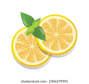 Fresh sliced lemon fruits isolated vector illustration