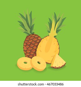 Fresh sliced pineapple vectorr illustration