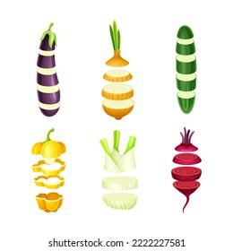 Fresh sliced vegetables set. Pepper, onion, eggplant, cucumber, beetroot organic vegetable lying in vertical rows vector illustration