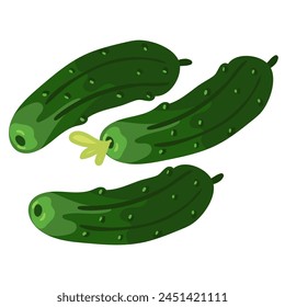 Los pepinos Pequeños frescos están aislados, adecuados para la Imagen de productos frescos de la huerta. Gherkins. Ideal para cocinar gráficos, recetas de ensaladas, blogs de estilo de vida saludable. Ilustración vectorial