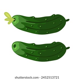 Fresh small two cucumbers are isolated, suitable for the image of fresh products from the garden. Gherkins. Ideal for cooking graphics, salad recipes, healthy lifestyle blogs. Vector illustration