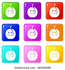 Fresh smiling apricot set 9