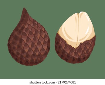 Dibujo de ilustración con estilo de brocha dibujado a mano sobre fondo verde