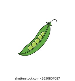 Fresh snow peas pod open with peas shown in flat style Vector illustration