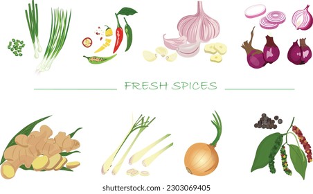 Fresh spices vector set illustration isolated on white background. Green onion. Garlic. Ginger. Lemongrass. Onion. Shallot. Peppercorn. Chilli. Cartoon style. Spices and herbs vector set.
